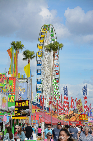 Ferris Wheel, Flags and Fairs