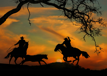 Cowboy Silhouettes