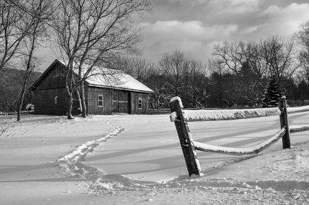 path to the barn