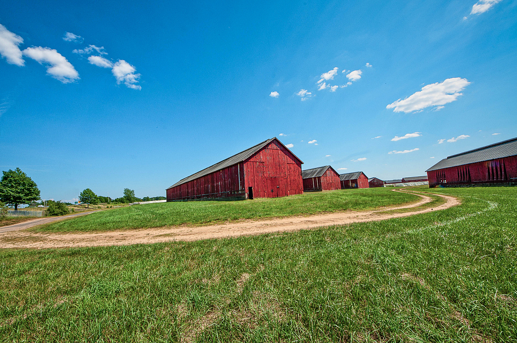 CT tobacco barns 