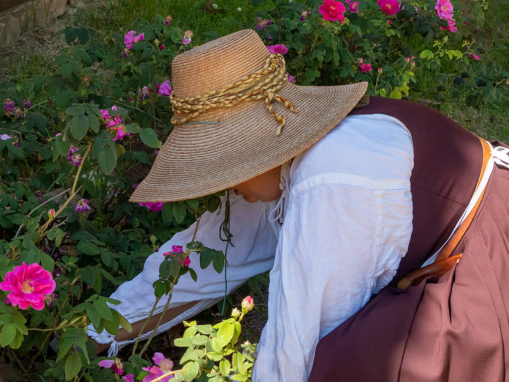 Gardening