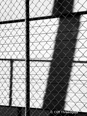 Fence Lines
