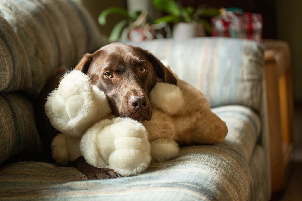 Jake and Friend