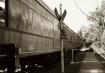 L&N Railroad, Mil...