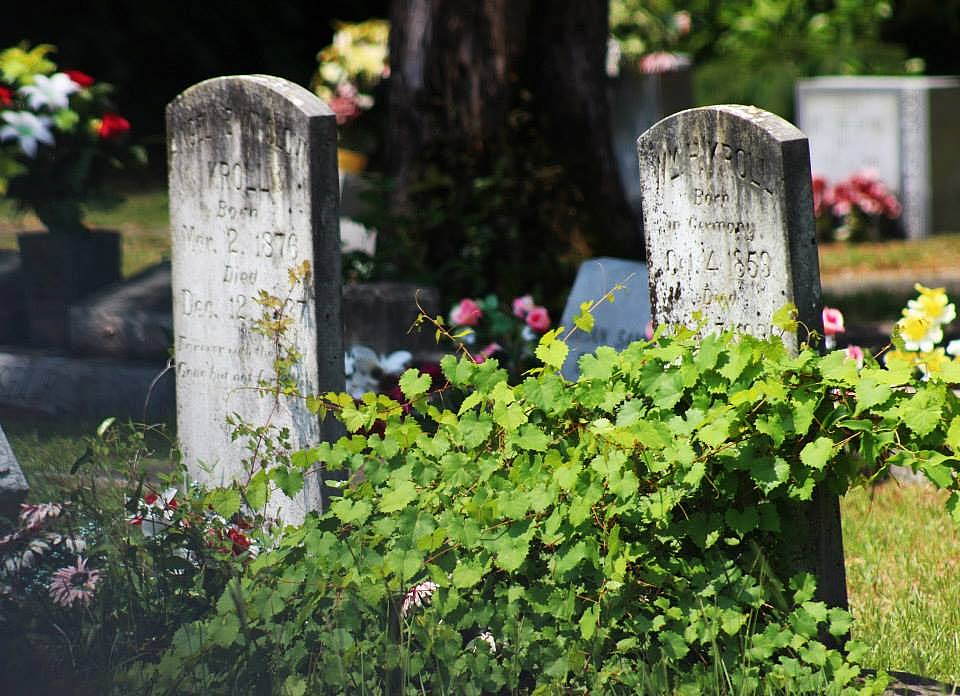 Historic Graves - ID: 15823653 © Lynne Hough