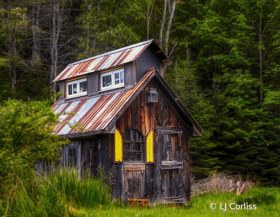 little shed-ish