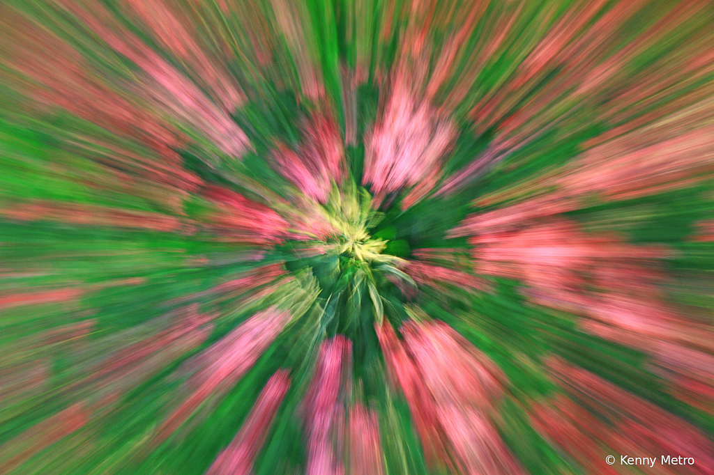 img2