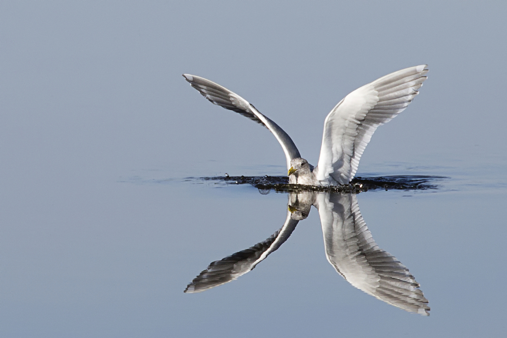 Preparing for Take-Off