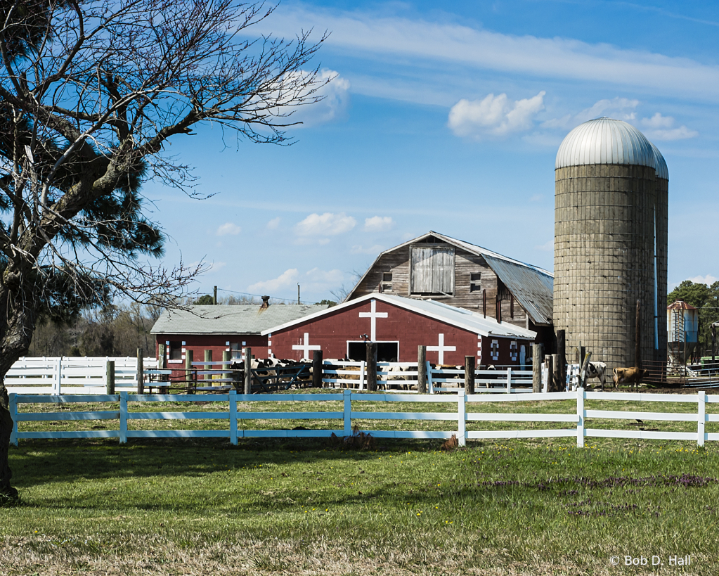 Barns and Silos