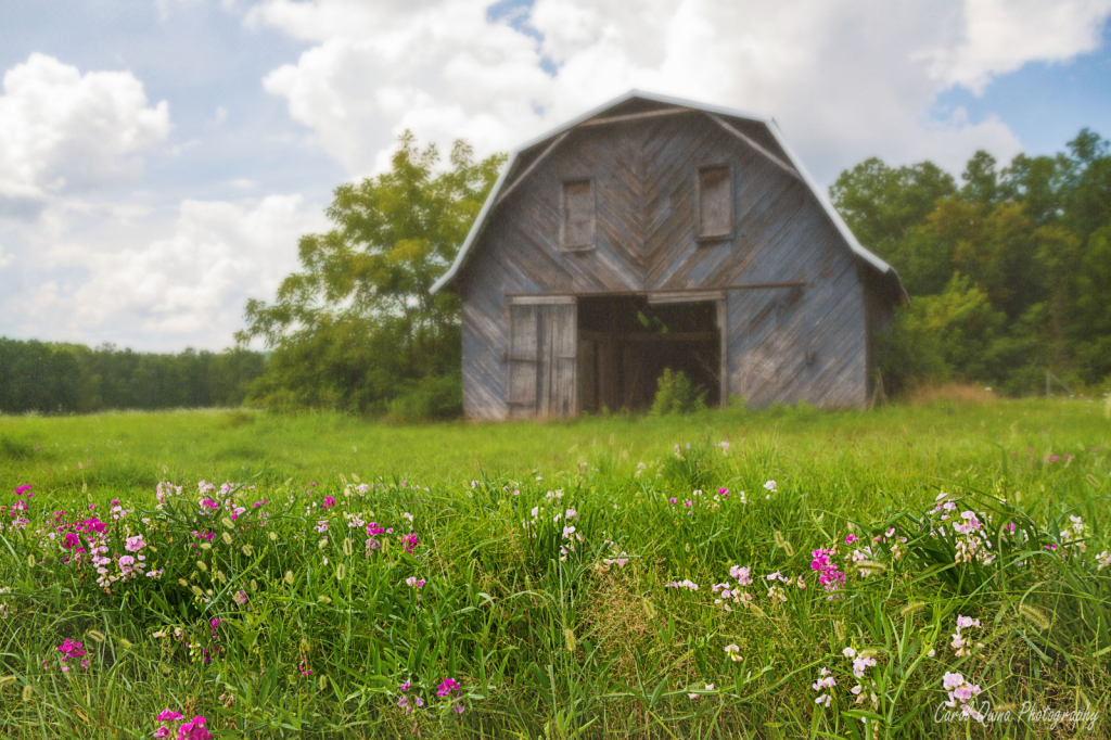 Summertime in the South