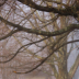 2Lifting Fog - ID: 15824272 © Jacquie Palazzolo