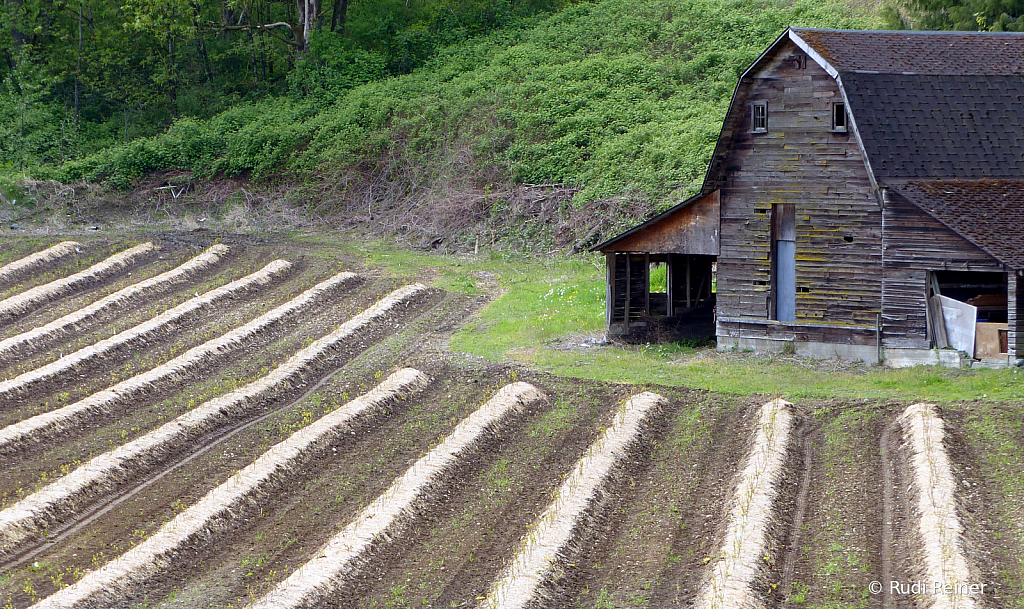 Barn at the end 