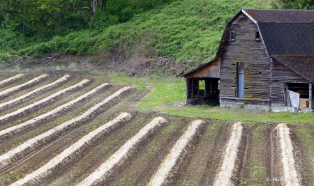 Barn at the end 