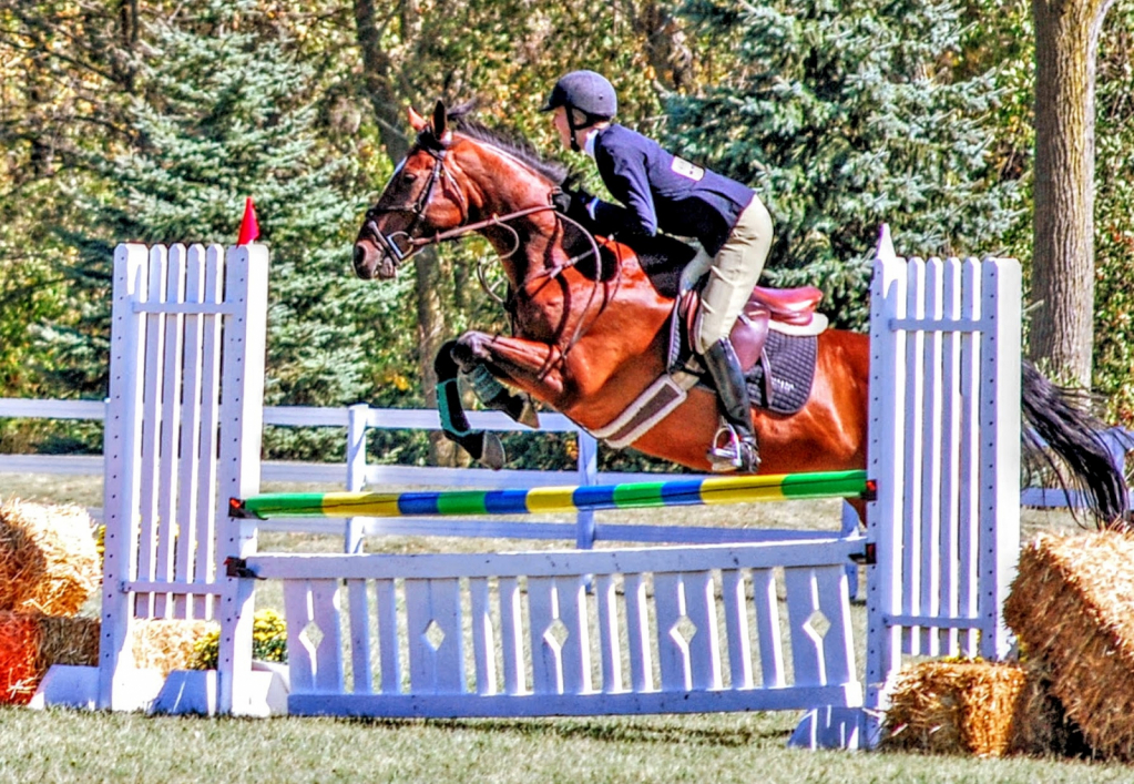       Action -  University of Findlay Jumping Demo