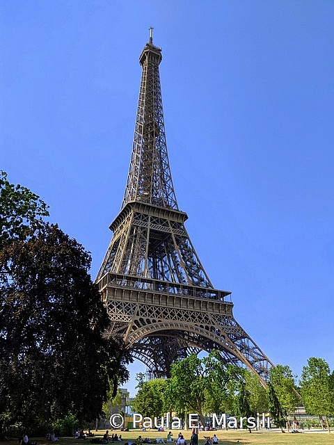 Eiffel Tower 1