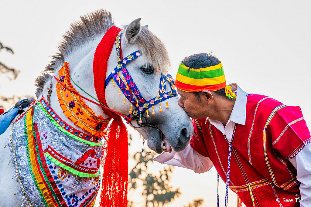 Horse And Man