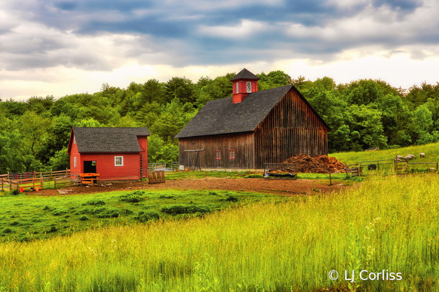 Modern Farm