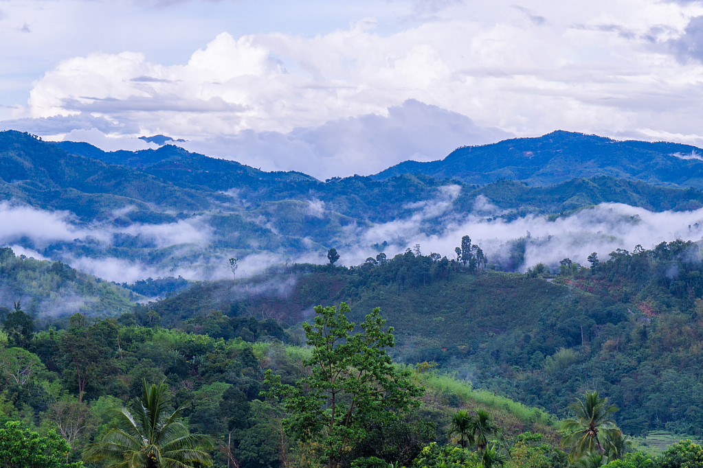 Foggy mountain 