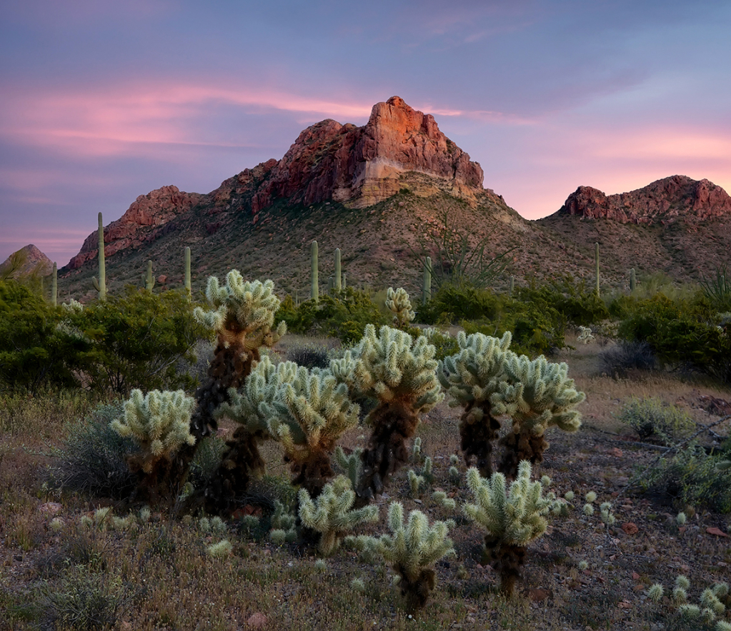 Organ Pipe NM