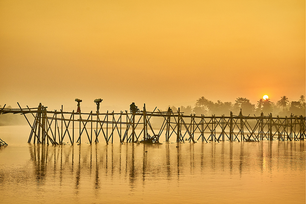 Bamboo bridge