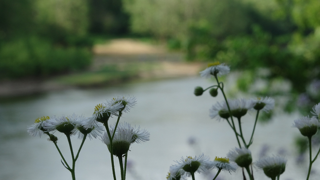 A river runs behind it