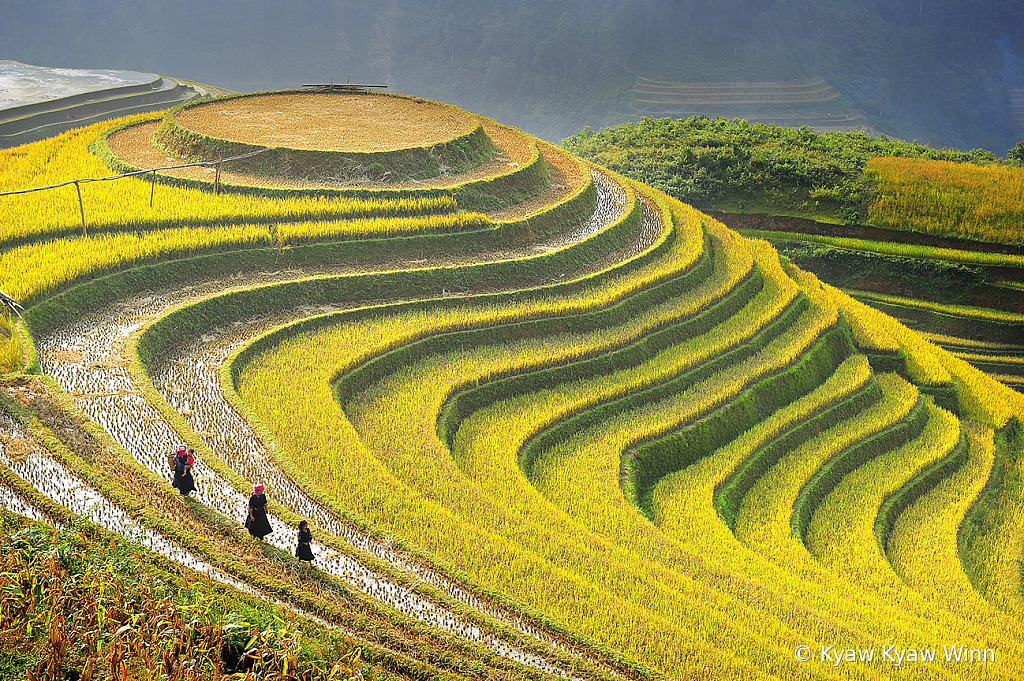 Wonderful Landscape of Vietnam - ID: 15825035 © Kyaw Kyaw Winn