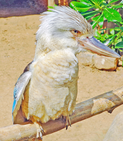 In deep thought!