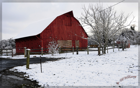 Winter Horse Barn