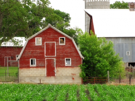 Barns