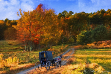 Autumn Buggy Ride
