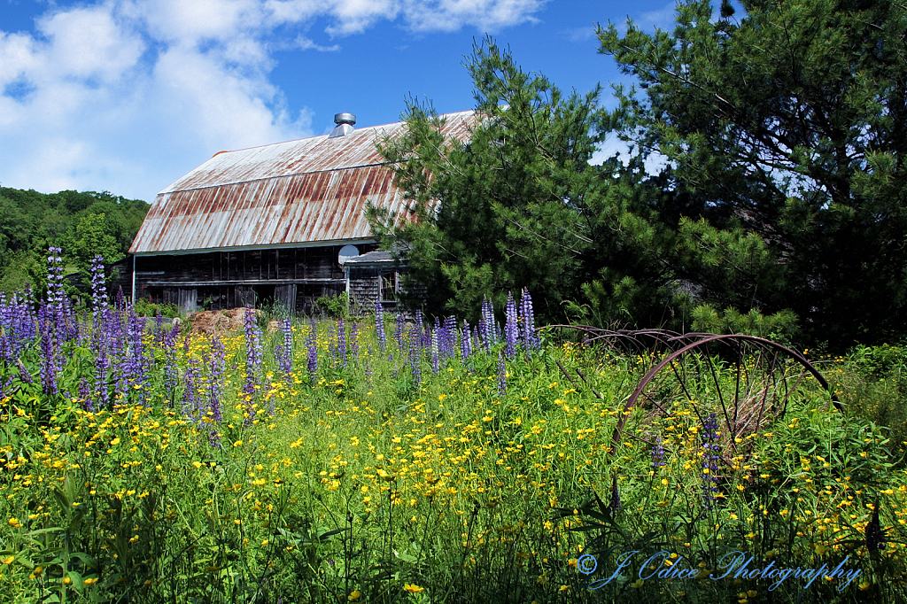 Bunker Hill Barn