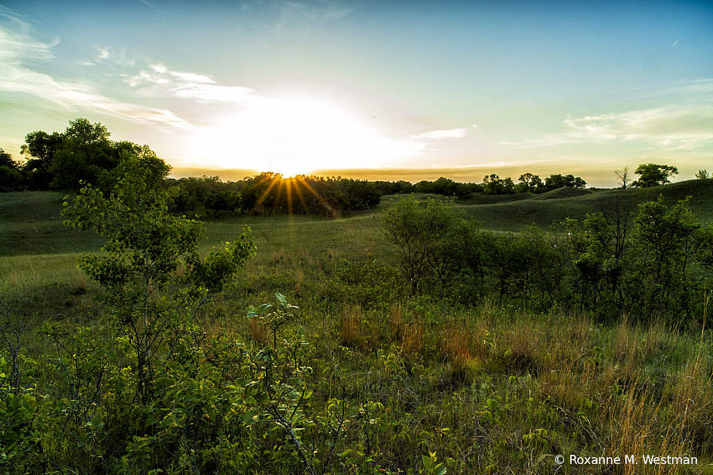 Sunset on the hillside Sheyenne National gras - ID: 15826206 © Roxanne M. Westman