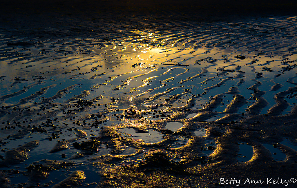 Sand Ripples