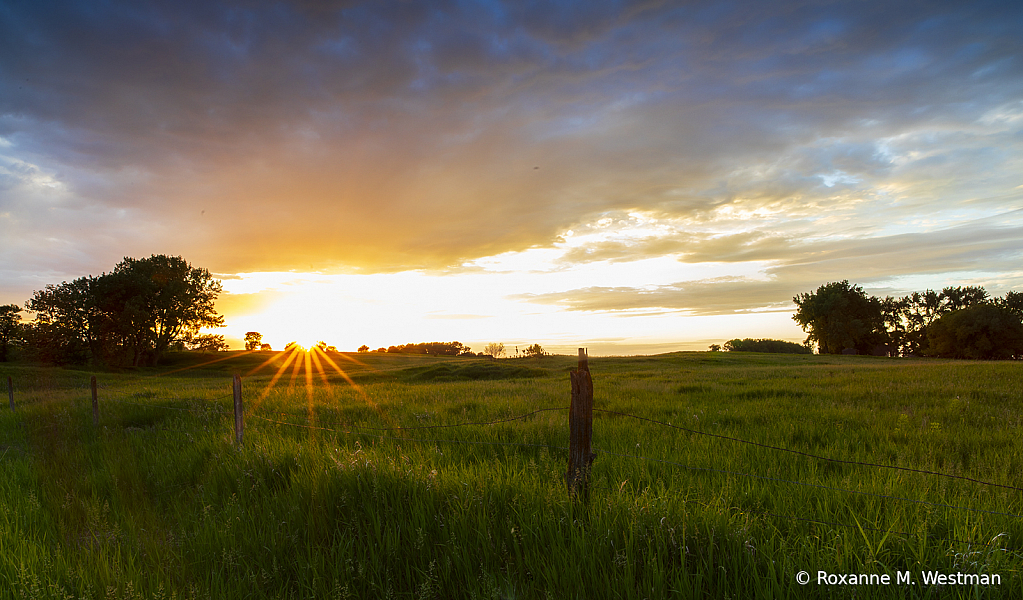 Sunset along the fenceline - ID: 15826376 © Roxanne M. Westman