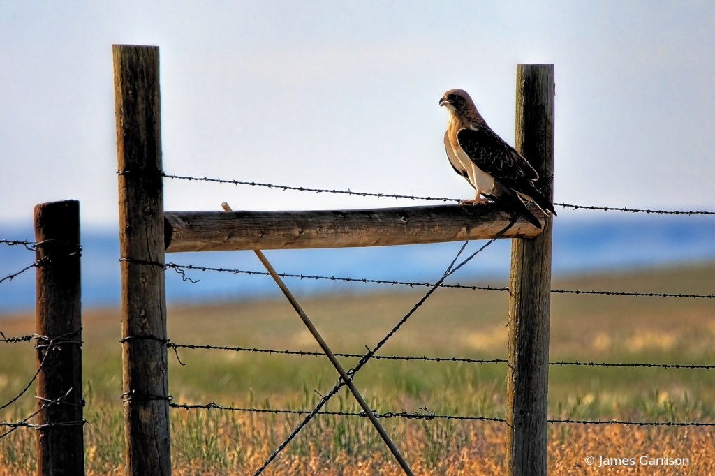 Keeping Watch