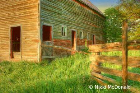 Spring Light on Barn and Fence