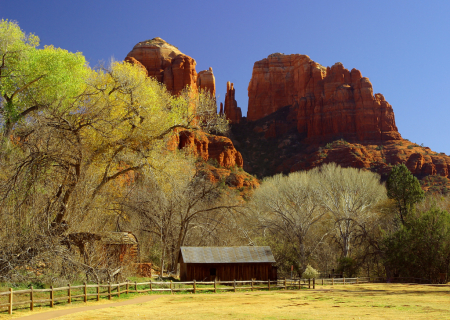 Desert Moon Ranch 