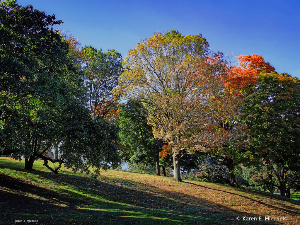 Fairmount Fall - ID: 15826802 © Karen E. Michaels