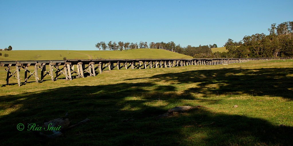 Rail Bridge over the Flood Plain at Orbost