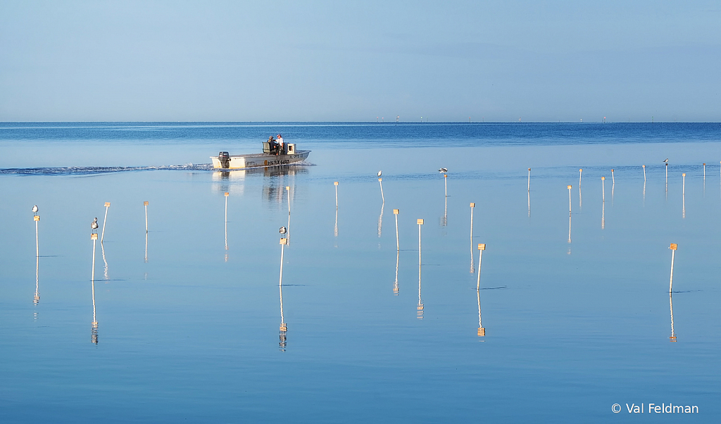 A Fine Day for Fishing