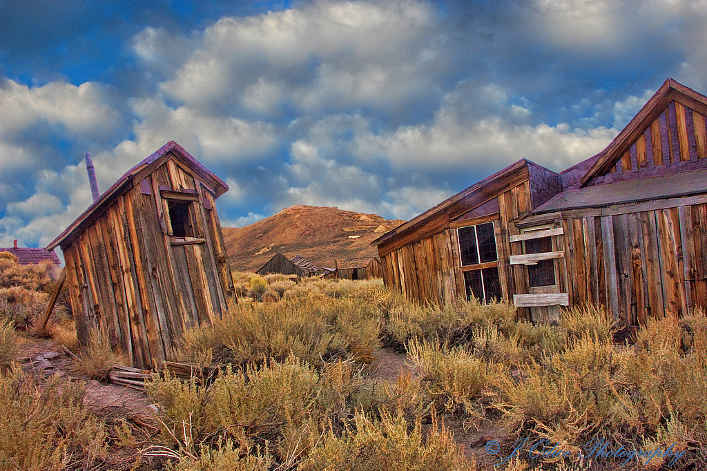 Ghost Town Outhouse