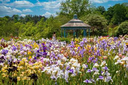 In the Laking Garden, RBG