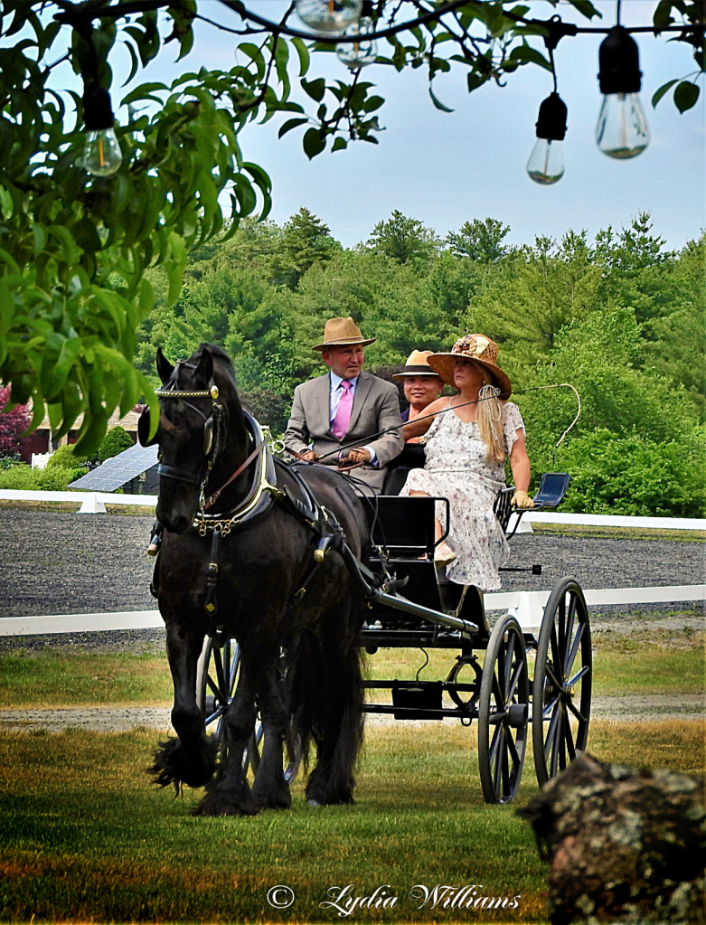 Out for a Ride - ID: 15827052 © Lydia Williams