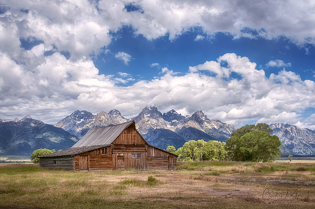 Along Mormon Row