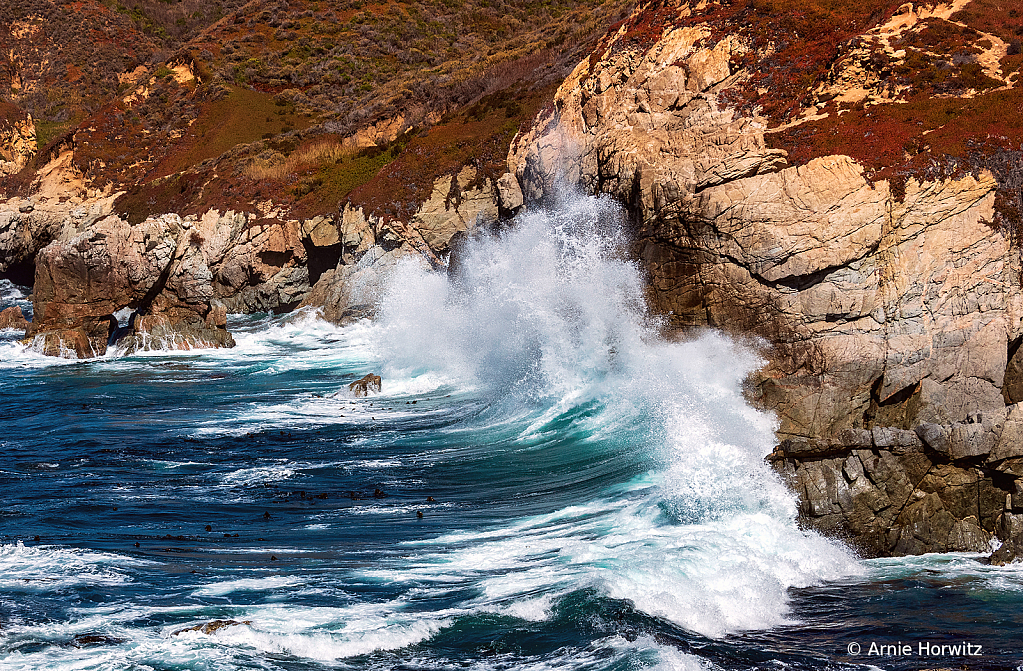 Big Sur - Garrapata State Beach