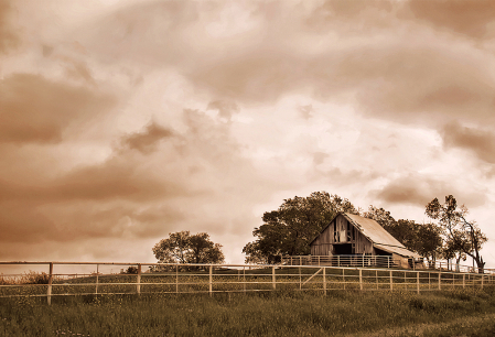 Barn-Storming