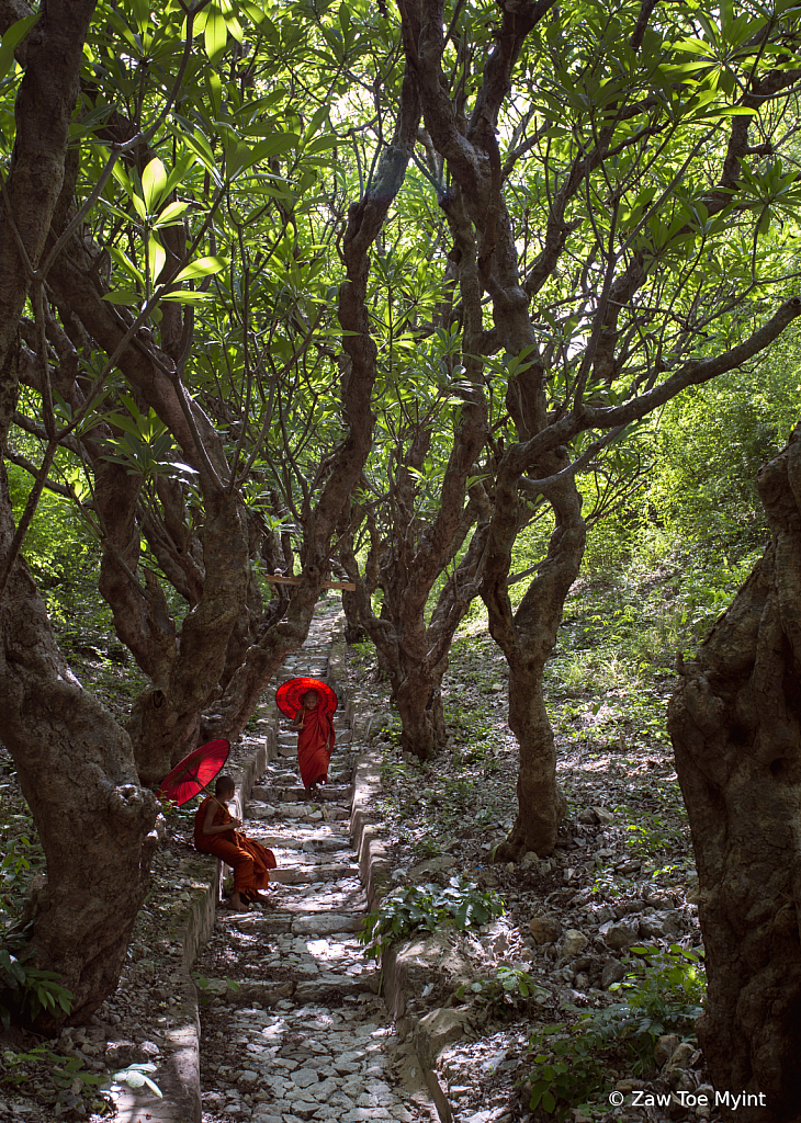 Monks in Forest
