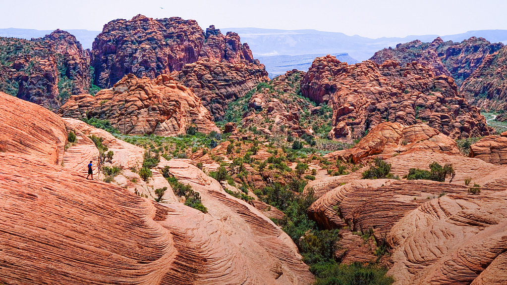 Planet Earth, not Mars