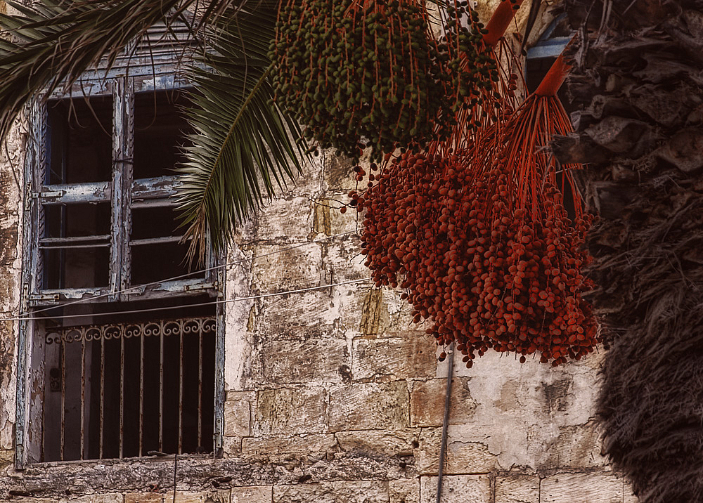 Abandoned House in Malta