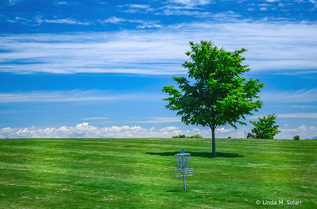 Lonely Disc Basket